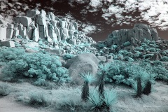 INFRARED_ANZA_BORREGO_NOV_02_2019_695-212_FINAL_03S