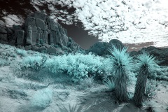 INFRARED_ANZA_BORREGO_NOV_02_2019_695-216_FINAL_03S