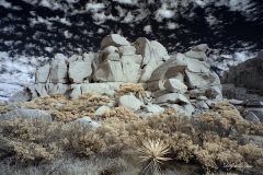 INFRARED_ANZA_BORREGO_NOV_02_2019_695-218_FINAL_06