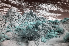 INFRARED_ANZA_BORREGO_NOV_02_2019_695-230_FINAL_03S