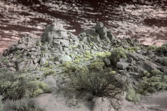 INFRARED_ANZA_BORREGO_NOV_02_2019_695-231_FINAL_08S