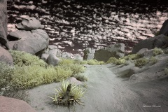 INFRARED_ANZA_BORREGO_NOV_02_2019_695-252_FINAL_08S