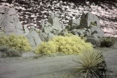 INFRARED_ANZA_BORREGO_NOV_02_2019_695-255_FINAL_08S