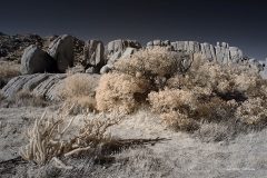 INFRARED_ANZA_BORREGO_NOV_10_2019_695-72_FINAL_06