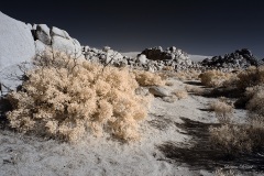 INFRARED_ANZA_BORREGO_NOV_10_2019_695-83_FINAL_06