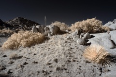 INFRARED_ANZA_BORREGO_NOV_10_2019_695-91_FINAL_06