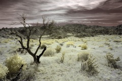 INFRARED_ANZA_BORREGO_OCT_27_2019_695-32_FINAL_08S