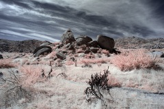 INFRARED_ANZA_BORREGO_OCT_27_2019_695-39_FINAL_10