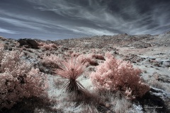 INFRARED_ANZA_BORREGO_OCT_27_2019_695-46_FINAL_10