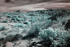 INFRARED_ANZA_BORREGO_OCT_27_2019_695-57_FINAL_03S