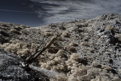 INFRARED_ANZA_BORREGO_695_DEC_01_2019-118_FINAL_06