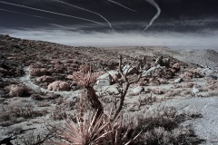 INFRARED_ANZA_BORREGO_695_DEC_01_2019-153_FINAL_10