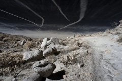 INFRARED_ANZA_BORREGO_695_DEC_01_2019-160_FINAL_06