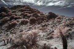 INFRARED_ANZA_BORREGO_695_DEC_01_2019-61_FINAL_10