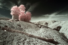 INFRARED_ANZA_BORREGO_695_MAR_03_2019-62_FINAL_10