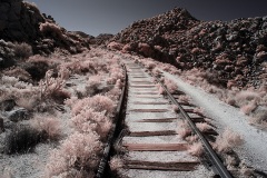 INFRARED_ANZA_BORREGO_695_NOV_24_2019-3_FINAL_10