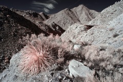 INFRARED_ANZA_BORREGO_695_NOV_24_2019-8_FINAL_10