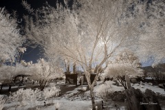 INFRARED_ANZA_BORREGO_DEC_15_2019_720-15_FINAL_06