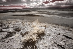 INFRARED_ANZA_BORREGO_FEB09_2019_720-71_FINAL_01