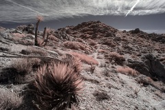 INFRARED_ANZA_BORREGO_695_DEC_01_2019-46_FINAL_10