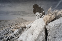 INFRARED_ANZA_BORREGO_695_DEC_01_2019-68_FINAL_06