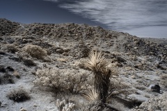 INFRARED_ANZA_BORREGO_695_DEC_01_2019-82_FINAL_06