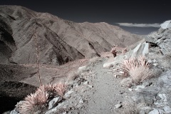 INFRARED_ANZA_BORREGO_695_NOV_24_2019-34_FINAL_10