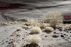 INFRARED_ANZA_BORREGO_720_MAR_03_2019-104_FINAL_01