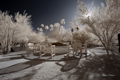 INFRARED_ANZA_BORREGO_DEC_15_2019_720-4_FINAL_06