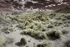 INFRARED_ANZA_BORREGO_NOV_02_2019_695-100_FINAL_08S