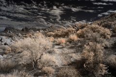 INFRARED_ANZA_BORREGO_NOV_02_2019_695-102_FINAL_06