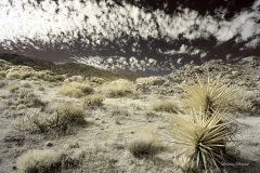 INFRARED_ANZA_BORREGO_NOV_02_2019_695-110_FINAL_08S