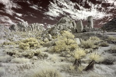 INFRARED_ANZA_BORREGO_NOV_02_2019_695-163_FINAL_08S