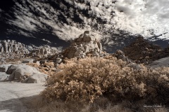 INFRARED_ANZA_BORREGO_NOV_02_2019_695-166_FINAL_06