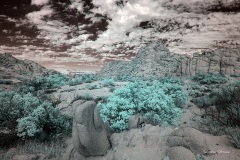 INFRARED_ANZA_BORREGO_NOV_02_2019_695-170_FINAL_03S