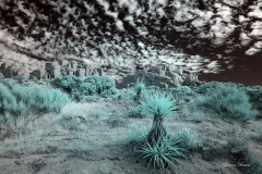INFRARED_ANZA_BORREGO_NOV_02_2019_695-199_FINAL_03S