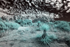 INFRARED_ANZA_BORREGO_NOV_02_2019_695-201_FINAL_03S