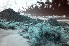 INFRARED_ANZA_BORREGO_NOV_02_2019_695-205_FINAL_03S