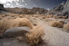 INFRARED_ANZA_BORREGO_NOV_02_2019_695-251_FINAL_06