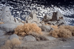 INFRARED_ANZA_BORREGO_NOV_02_2019_695-254_FINAL_06