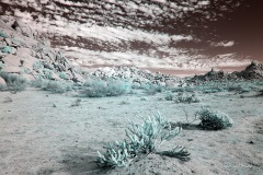 INFRARED_ANZA_BORREGO_NOV_02_2019_695-274_FINAL_03S