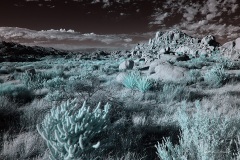 INFRARED_ANZA_BORREGO_NOV_02_2019_695-302_FINAL_03S