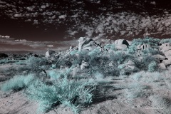 INFRARED_ANZA_BORREGO_NOV_02_2019_695-305_FINAL_03S