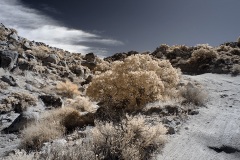 INFRARED_ANZA_BORREGO_NOV_10_2019_695-2_FINAL_06