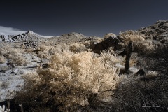 INFRARED_ANZA_BORREGO_NOV_10_2019_695-50_FINAL_06