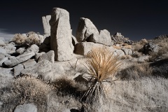 INFRARED_ANZA_BORREGO_NOV_10_2019_695-70_FINAL_06