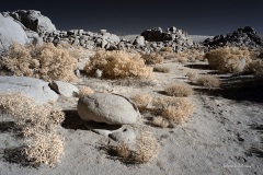 INFRARED_ANZA_BORREGO_NOV_10_2019_695-84_FINAL_06