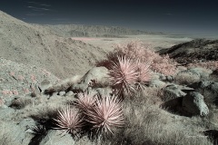 INFRARED_ANZA_BORREGO_NOV_25_2018_695-35_FINAL_01