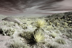 INFRARED_ANZA_BORREGO_OCT_27_2019_695-109_FINAL_08S
