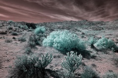 INFRARED_ANZA_BORREGO_OCT_27_2019_695-45_FINAL_03S